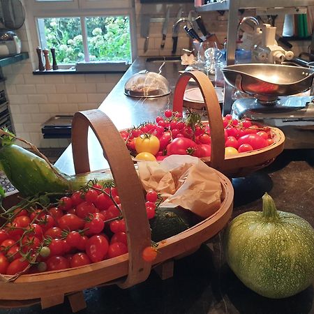 Bed and Breakfast Rosario Bever Экстерьер фото
